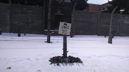 Similar image 13000473