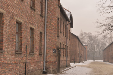 Similar image 13000475