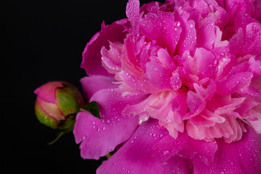 Similar image 13000494