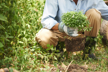 Similar image 13000207