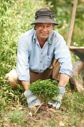 Similar image 13000209