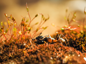 Similar image 13001147