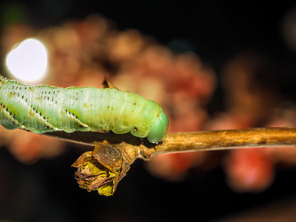 Similar image 13001156