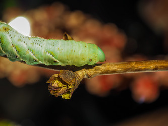 Similar image 13001157