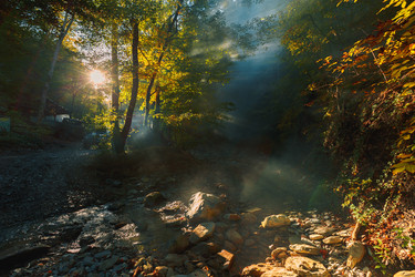 Similar image 13001126