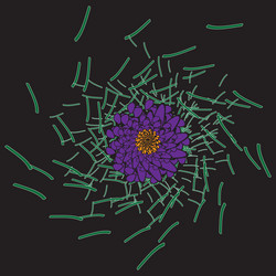 Similar image 13001109