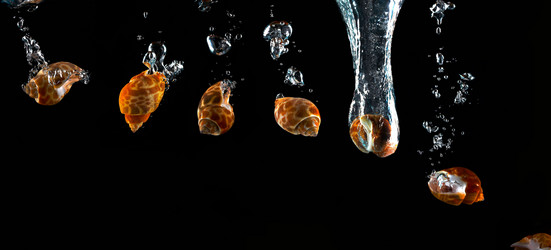 Similar image 13018567