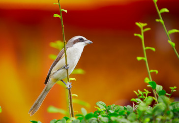 Similar image 13018568