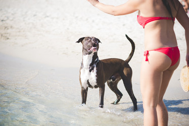 Similar image 13033146