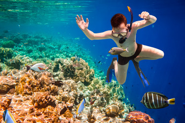 Similar image 13063703