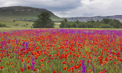 Similar image 13033706