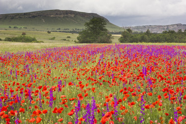 Similar image 13033733