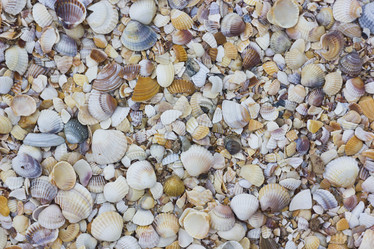 Similar image 13045932