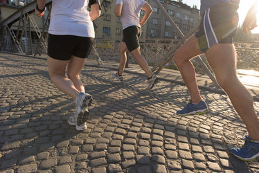 Similar image 13014487