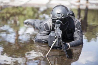 Similar image 13002829