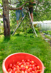 Similar image 13043172