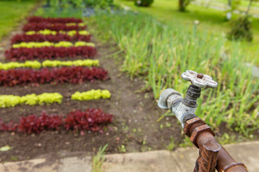 Similar image 13043184