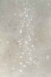 Similar image 13036952