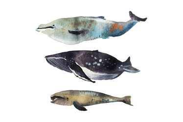 Similar image 13049555