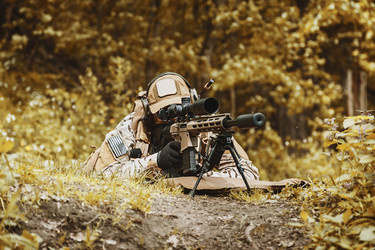 Similar image 13036808