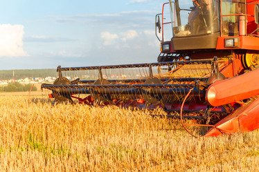 Similar image 13043112