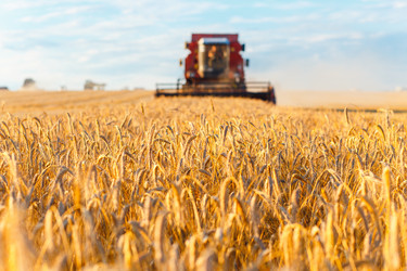 Similar image 13043092