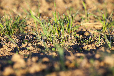 Similar image 13047429