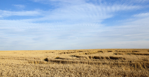 Similar image 13047510