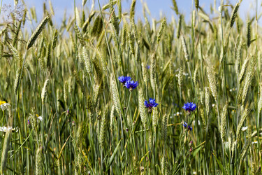 Similar image 13047590