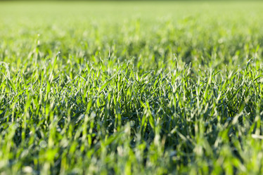 Similar image 13047609