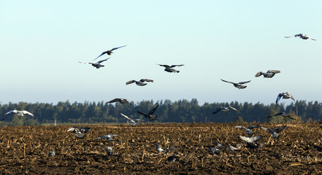 Similar image 13047730