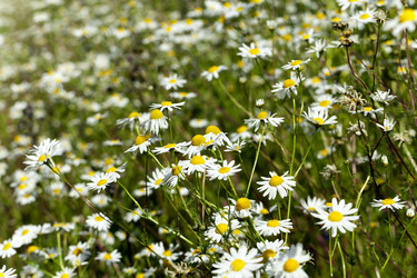 Similar image 13047829