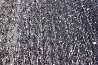 Similar image 13047210