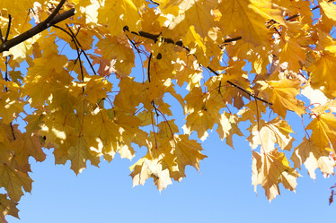 Similar image 13047430