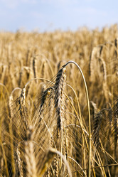 Similar image 13047530