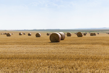 Similar image 13047893