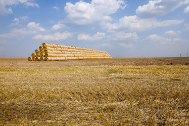 Similar image 13047906