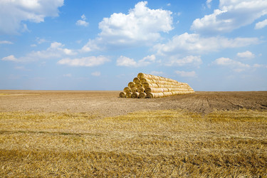 Similar image 13047907