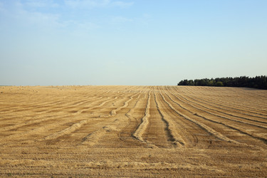 Similar image 13047489