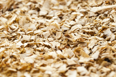 Similar image 13047612