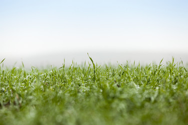 Similar image 13047830