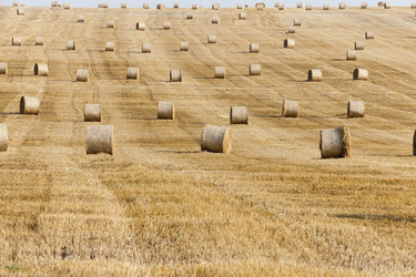 Similar image 13047908