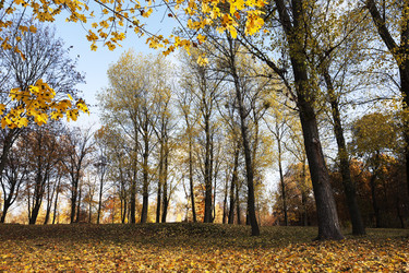 Similar image 13047711