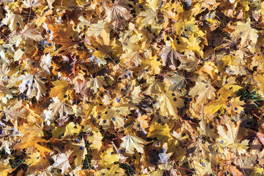 Similar image 13047772