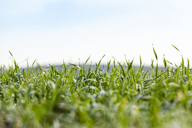 Similar image 13047232