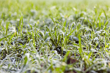 Similar image 13047233