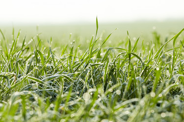 Similar image 13047270