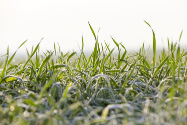 Similar image 13047271