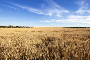 Similar image 13047309