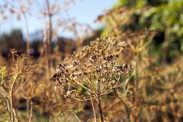 Similar image 13047491